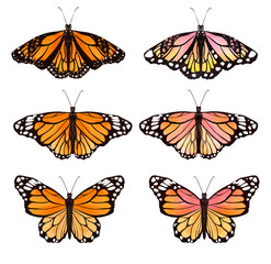 set of butterflies