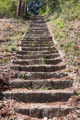 An abandoned stone staircase
