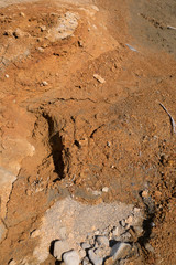Soils of the ground