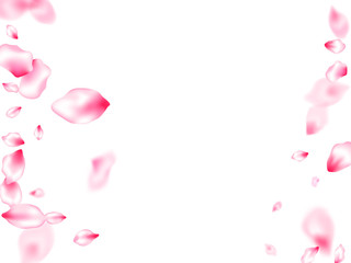 Spring tree flowers parts, airy flying petals