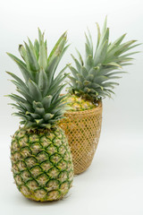two standing pineapples with one in a basket on an isolated white background