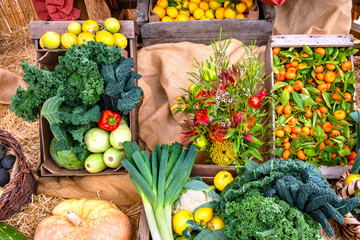 Gem&uuml;se und Obst, frisch, gesund, aus biologischem Anbau vom Erzeuger.  So macht das Kochen und Essen Spa&szlig;, gesunde, vitaminreiche Produkte frisch aus dem Garten in Holzkisten und K&ouml;rben pr&auml;sentiert.