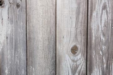 The texture of the old shabby gray fence and remnants of white paint