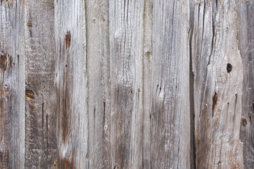 Fototapeta premium Texture of gray beige old smooth wood. Plank fence