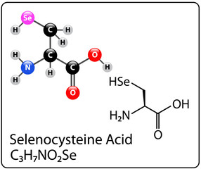 Selenocysteine Molecule Structure