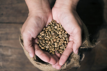Close up of Coffee beans in hands.