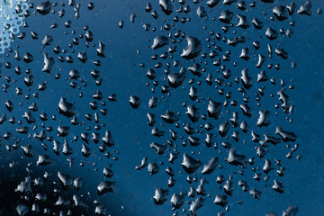 Water Droplets