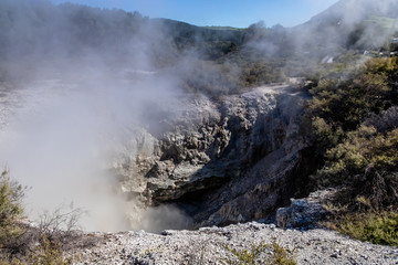 Geo thermal steam can be seen rising through out the park, Wai-O-Tapu, Rotorua, New Zealand