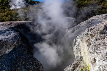 Geo thermal steam can be seen rising through out the park, Wai-O-Tapu, Rotorua, New Zealand