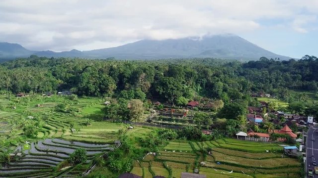 Aerial view of Tirta Ganga surrounded by rice fields and trees.