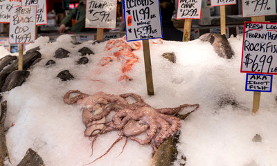 fresh seafood on ice on display at a fish market.