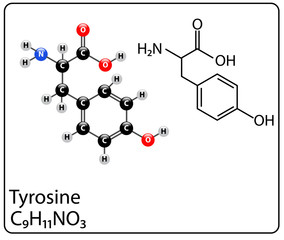 Tyrosine Molecule Structure