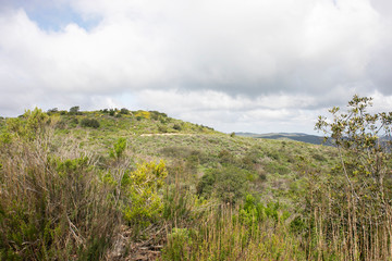 Aliso & Woods Canyon Wilderness trail in the spring after a rainy season, Laguna Beach, CA hiking trails.