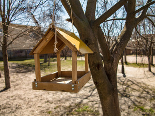 Fototapeta na wymiar Handmade bird feeder hung on the tree branch