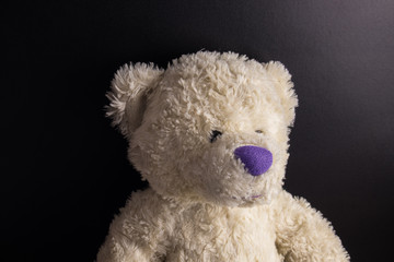 White custom hand made Teddy Bear with purple nose on dark background