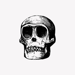 Skull in vintage style