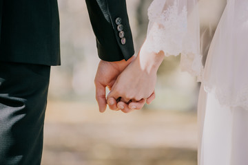 In love, grooms hold each other hands