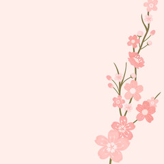 Fototapeta na wymiar Cherry blossom background illustration