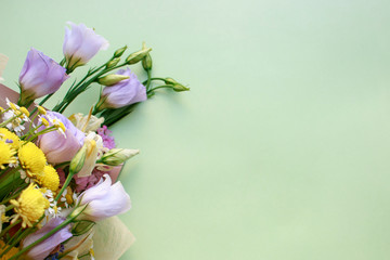 Spring flowers on pastel green background.