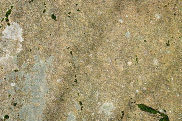 Textured natural background of weathered stone with lichen and moss