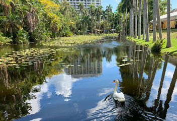Fresh water slough, body of water flowing between the Bonnet House and the Atlantic Ocean, directly...