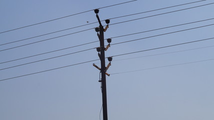 Electric pole and wire 
