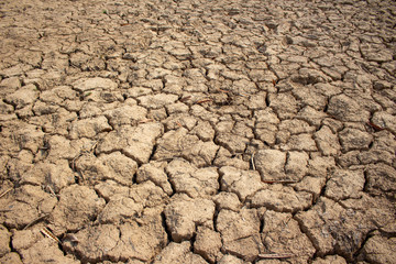 Land with dry and cracked ground