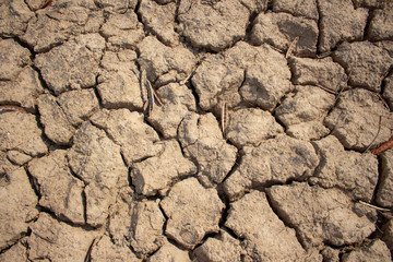 Land with dry and cracked ground