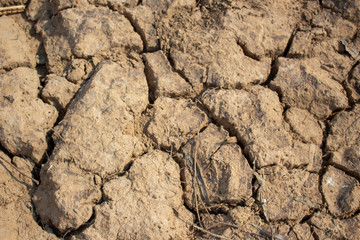 Land with dry and cracked ground