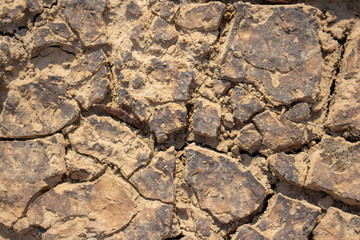 Land with dry and cracked ground