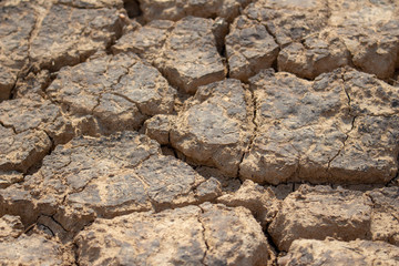Land with dry and cracked ground