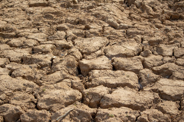 Land with dry and cracked ground