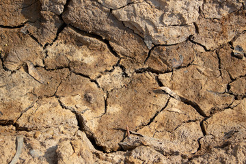 Land with dry and cracked ground