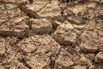 Land with dry and cracked ground