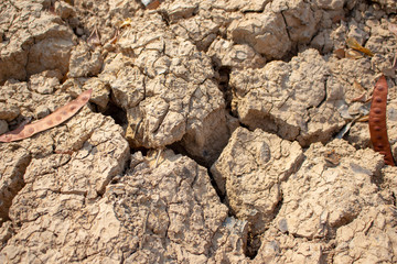 Land with dry and cracked ground