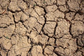 Land with dry and cracked ground
