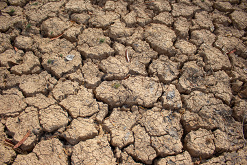 Land with dry and cracked ground