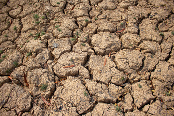 Land with dry and cracked ground