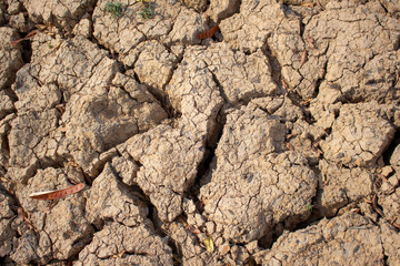 Land with dry and cracked ground