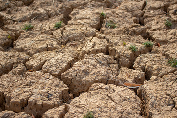 Land with dry and cracked ground