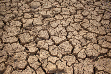 Land with dry and cracked ground