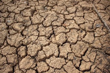 Land with dry and cracked ground