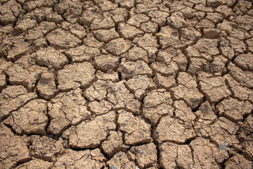 Land with dry and cracked ground