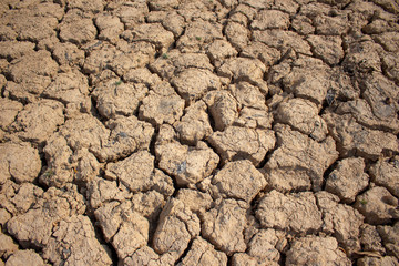 Land with dry and cracked ground