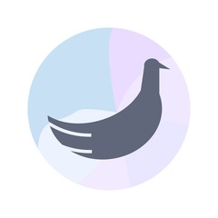 Simple bird icon with multiple pastel color in circle background color.- vector