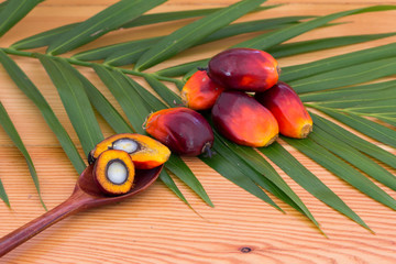 Close up of Palm Oil fruits with cooking oil and palm leaf on a wooden background.