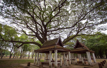 gazebo in the park