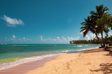 Beautiful wild and tropical beach in Las Terrenas, Dominican Republic; a corner of èaradise