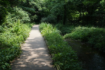 Obraz premium 遊歩道