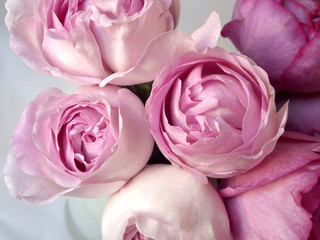 ピンク色の薔薇の花束